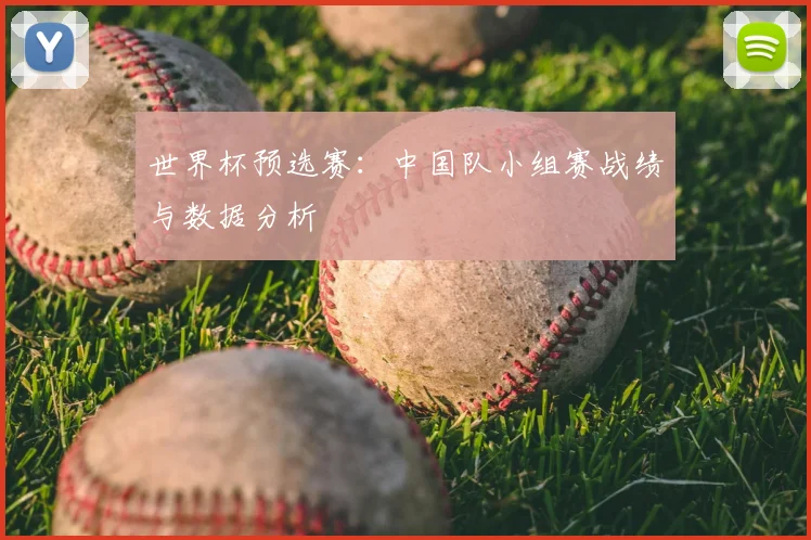 世界杯预选赛：中国队小组赛战绩与数据分析