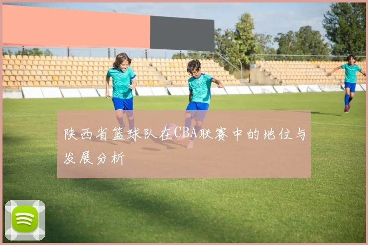 陕西省篮球队在CBA联赛中的地位与发展分析