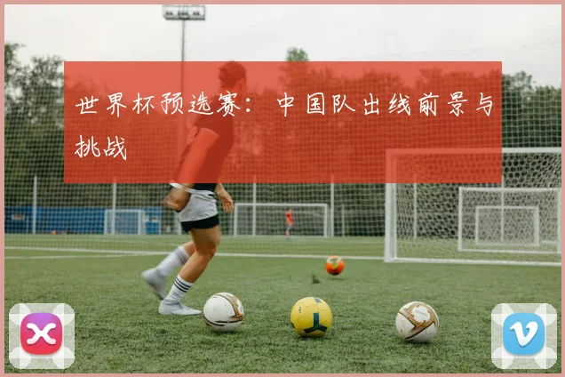 世界杯预选赛：中国队出线前景与挑战