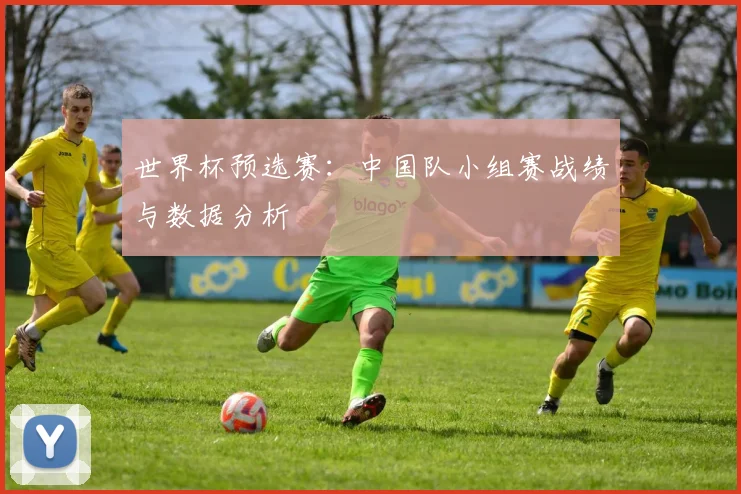 世界杯预选赛：中国队小组赛战绩与数据分析