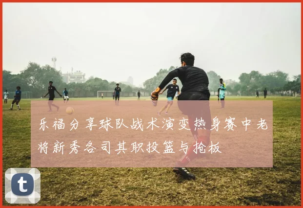 乐福分享球队战术演变热身赛中老将新秀各司其职投篮与抢板