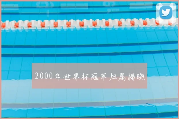 2000年世界杯冠军归属揭晓