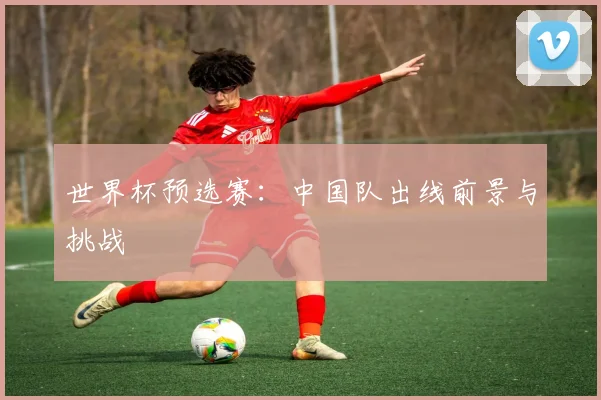 世界杯预选赛：中国队出线前景与挑战