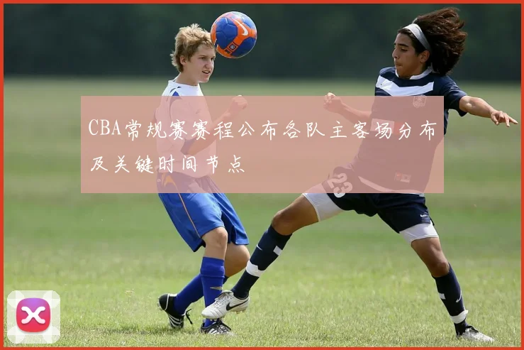 CBA常规赛赛程公布各队主客场分布及关键时间节点