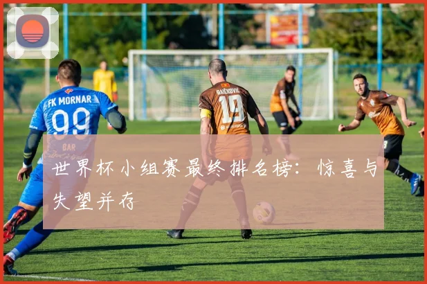 世界杯小组赛最终排名榜：惊喜与失望并存