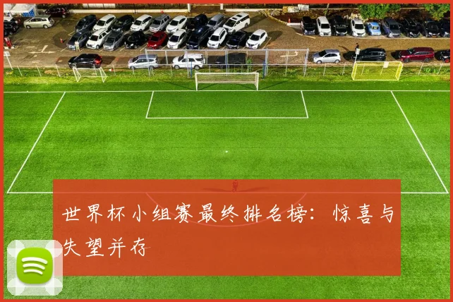 世界杯小组赛最终排名榜：惊喜与失望并存