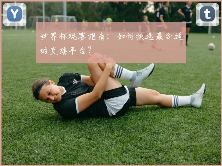 世界杯观赛指南：如何挑选最合适的直播平台？