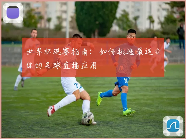 世界杯观赛指南：如何挑选最适合你的足球直播应用