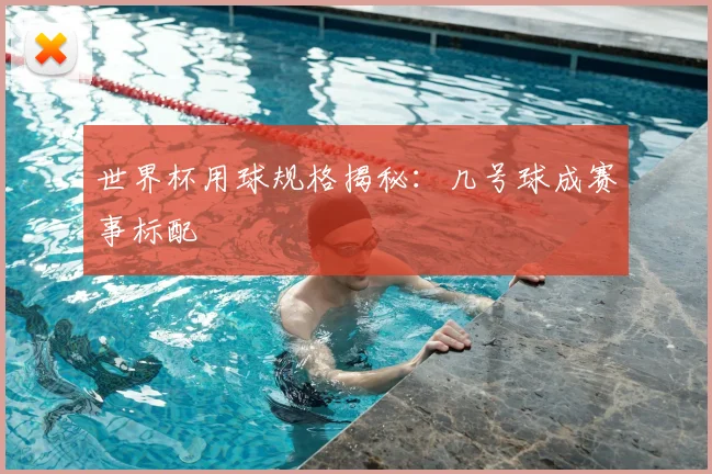 世界杯用球规格揭秘：几号球成赛事标配